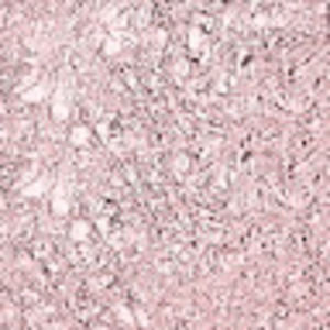 Meet your Posher, Odalys